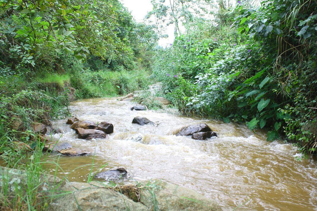 Rustling River Resort Ooty Extérieur photo