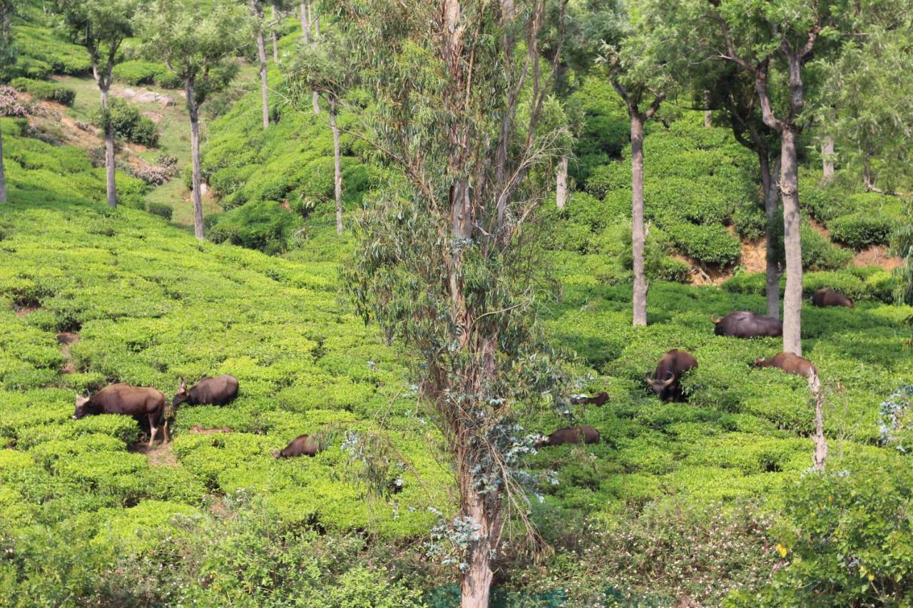 Rustling River Resort Ooty Extérieur photo